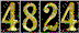 Hit Counter